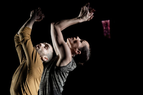 Conny Janssen Danst - ZIEL