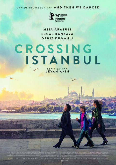 Crossing Istanbul