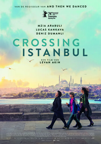 Crossing Istanbul