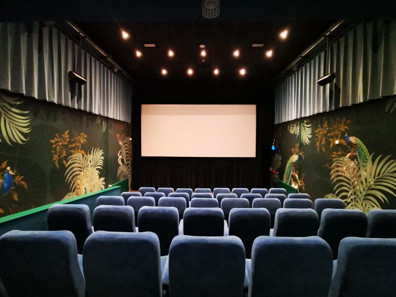 Saskia van der Linden