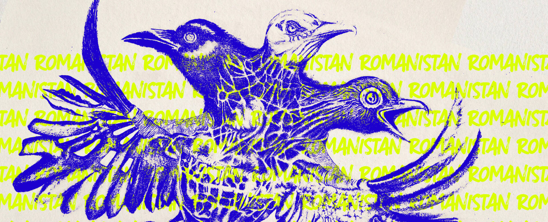 Abstracte illustratie van vogels in blauwe lijnen, met gele tekst op de achtergrond die 'Afghanistan' herhaalt.